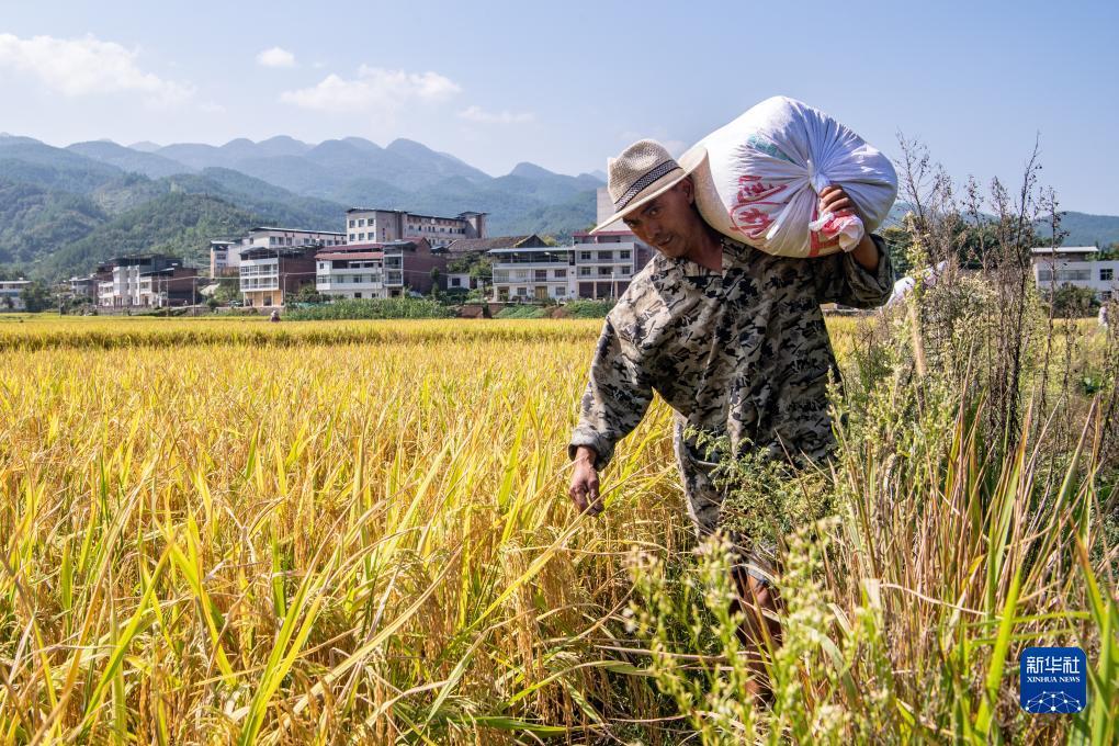 银河 金沙